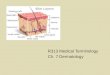 R313 Medical Terminology Ch. 7 Dermatology
