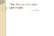 The  Appendicular  Skeleton