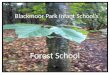 Blackmoor  Park Infant School’s