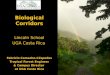 Biological Corridors Lincoln School UGA Costa Rica  Fabricio Camacho-Céspedes