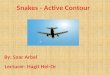 Snakes - Active Contour
