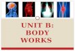 Unit B: Body Works