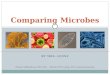 Comparing Microbes