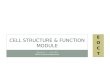 Cell Structure & Function Module