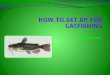 HOW TO SET UP FOR CATFISHING