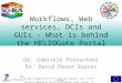 Workflows, Web services, DCIs and GUIs - What is behind the  HELIOGate  Portal