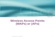 Wireless Access Points (WAPs) or (APs)