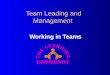 Team Leading and Management