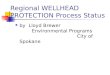 Regional WELLHEAD PROTECTION Process Status