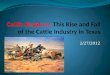 Cattle Kingdom:  This Rise and Fall of the Cattle Industry in Texas