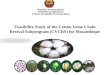 Feasibility Study of the Cotton Value Chain Revival Subprogram (CVCRS) for Mozambique