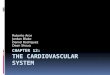 Chapter 12: The Cardiovascular System