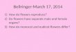 Bellringer -March 17, 2014