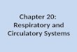 Chapter 20:  Respiratory and Circulatory Systems