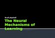 The Neural  Mechanisms of Learning