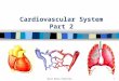 Cardiovascular System Part 2