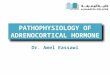 PATHOPHYSIOLOGY OF ADRENOCORTICAL  HORMONE