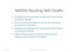 WSON Routing WG Drafts
