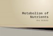 Metabolism of Nutrients