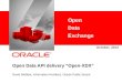 Open Data API delivery “Open-XDX”