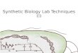 Synthetic Biology Lab Techniques (I)