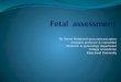 Fetal  assessment