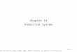Chapter 14 Endocrine System