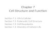 Chapter 7 Cell Structure and Function
