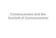 Consciousness and the Survival of Consciousness
