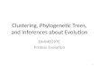 Clustering,  Phylogenetic  Trees, and Inferences about Evolution