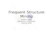 Frequent Structure Mining