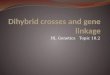 Dihybrid  crosses and gene linkage