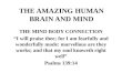 THE AMAZING HUMAN BRAIN AND MIND