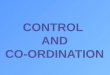 CONTROL   AND  CO-ORDINATION