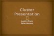 Cluster Presentation