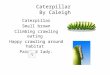Caterpillar  By  Caleigh