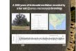 A 1000  years of bi-decadal oscillation recorded by   a bur oak ( Quercus macrocarpa ) chronology