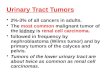 Urinary  Tract Tumors