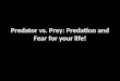 Predator vs. Prey: Predation and Fear for your life!