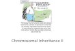 Chromosomal Inheritance II