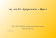 Lecture 19 – Epigenomics  – Plants