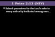 1 Peter 2:13 (NIV)