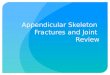 Appendicular Skeleton  Fractures and Joint  Review