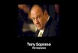 Tony Soprano The Sopranos