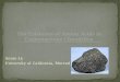 The Existence of Amino  Acids in Carbonaceous Chondrites