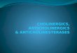 CHOLINERGICS, ANTICHOLINERGICS & ANTICHOLINESTERASES