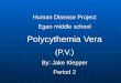 Human Disease Project Egan middle school Polycythemia Vera (P.V.) By: Jake Klepper Period 2