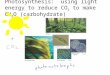 Photosynthesis:  using light energy to reduce CO 2  to make  CH 2 O (carbohydrate)
