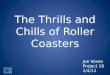 The Thrills and Chills of Roller Coasters