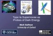 Type  Ia  Supernovae as Probes of Dark Energy